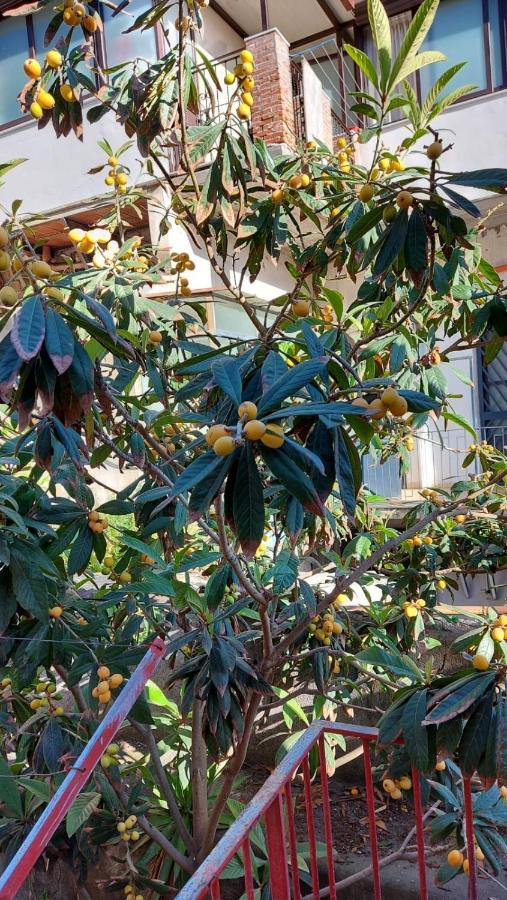 Casa Vacanze Il Nespolo Aeroporto di Catania Fontana Rossa Esterno foto